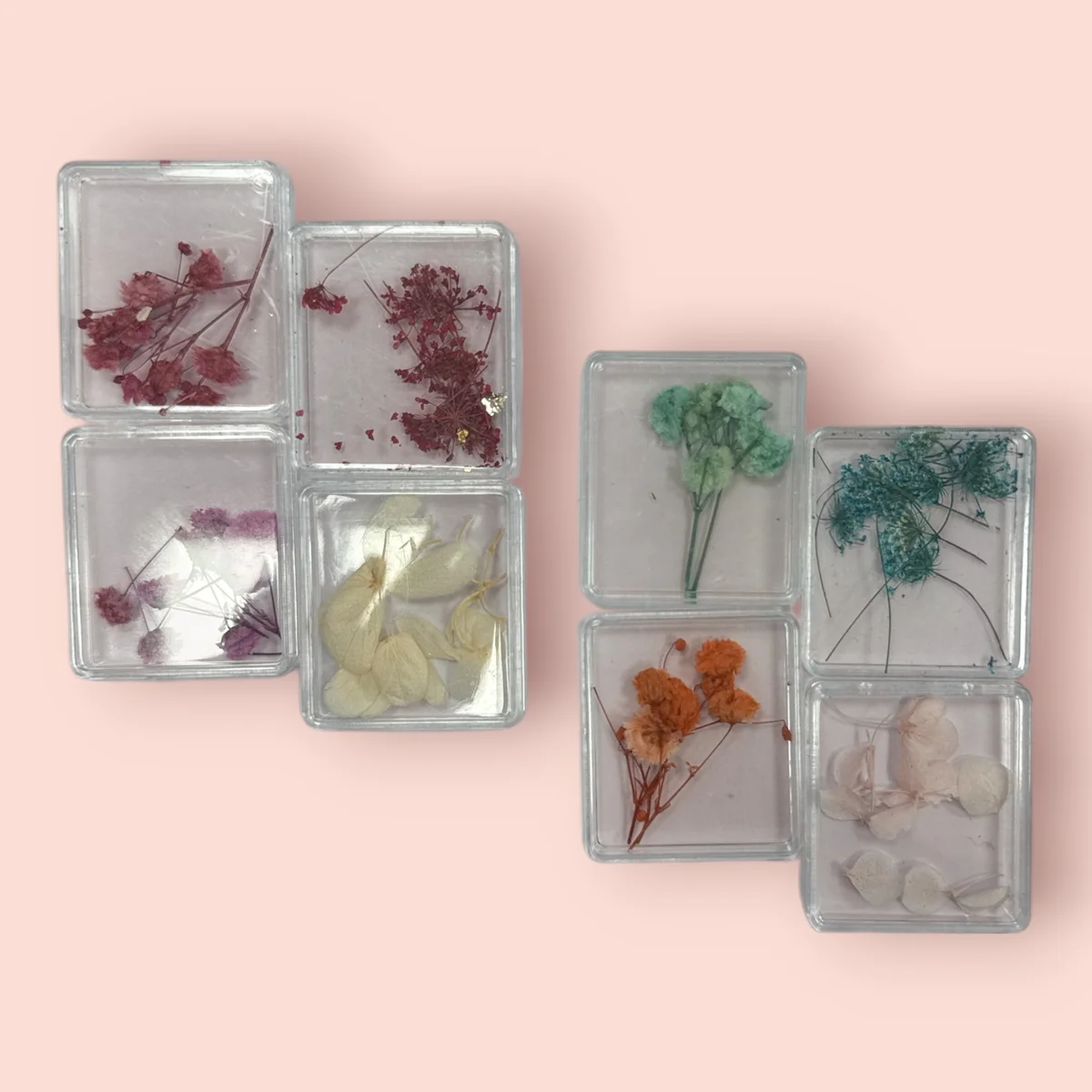 FLORES SECAS DECORAS