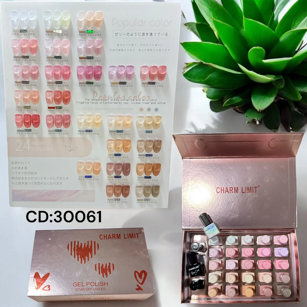 CHARM LIMIT CAJA X 29 ESMALTES SEMI
